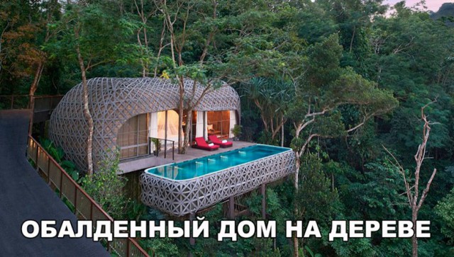 Всякая всячина