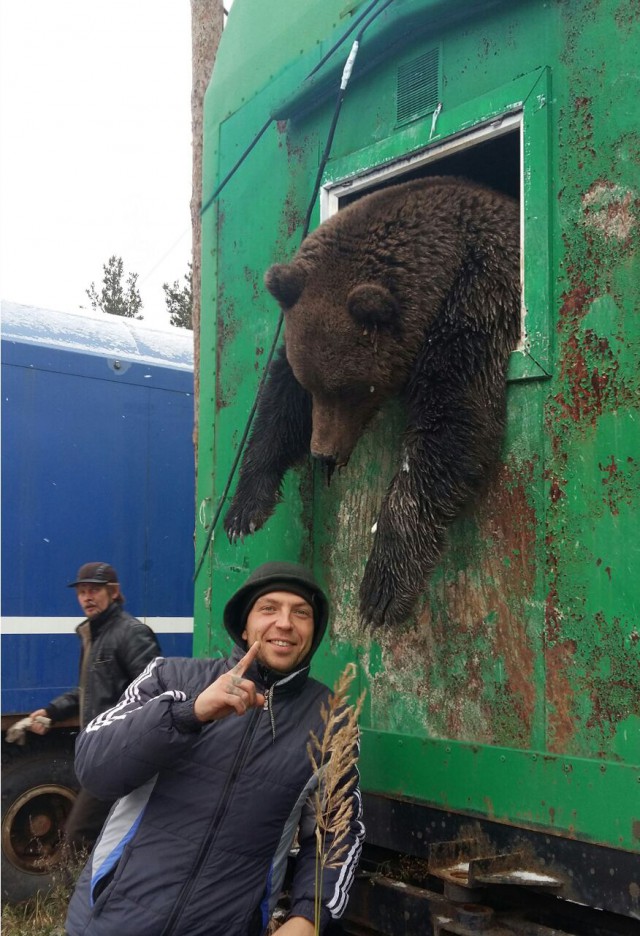 Выгрузили мишку...