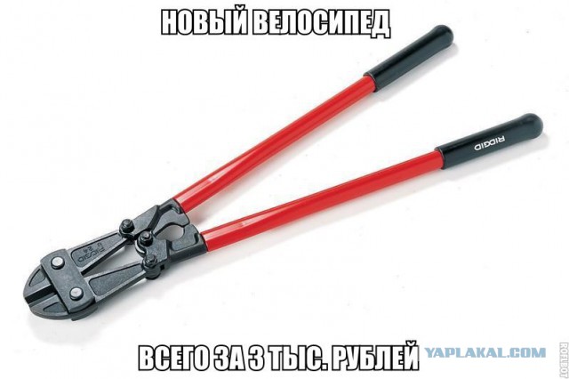 Немного весёлых картинок в эту субботу