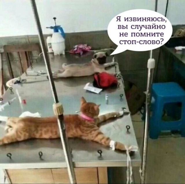 Немного картинок в эту среду
