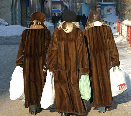 Норковая шуба. Случай в суде