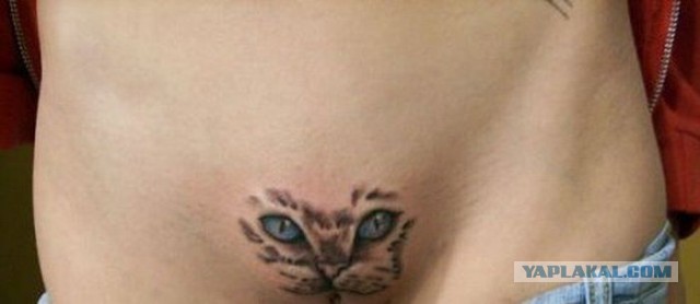 Рисованные киски