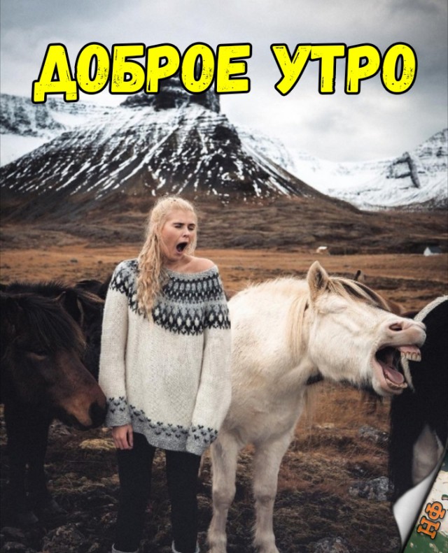 Нестандартный юмор