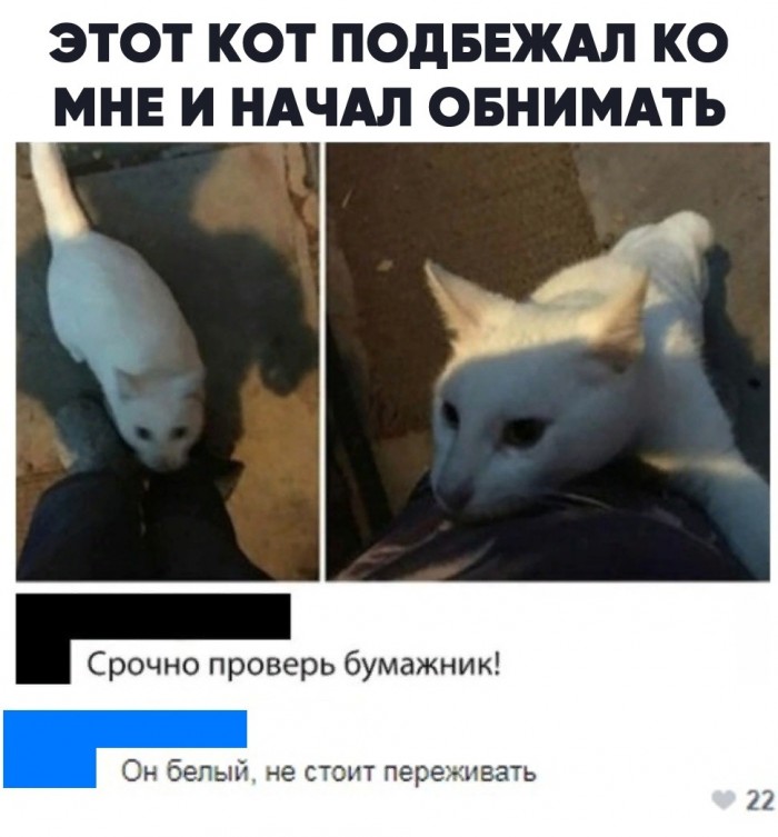 Прикольные комментарии и высказывания из Сети 14.09.19