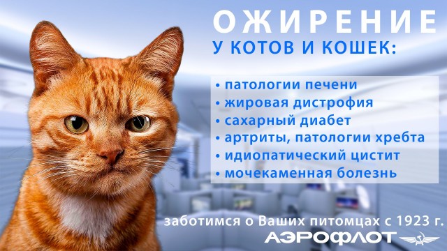 Мы домой летим