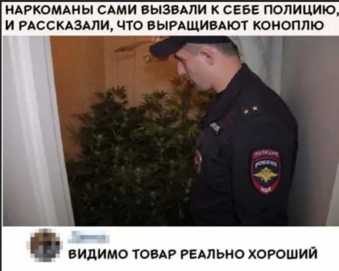 Бредзона 17.12.2019