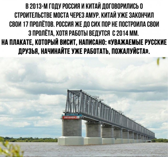 Кот Мостик встретил первый пассажирский поезд на Крымском мосту