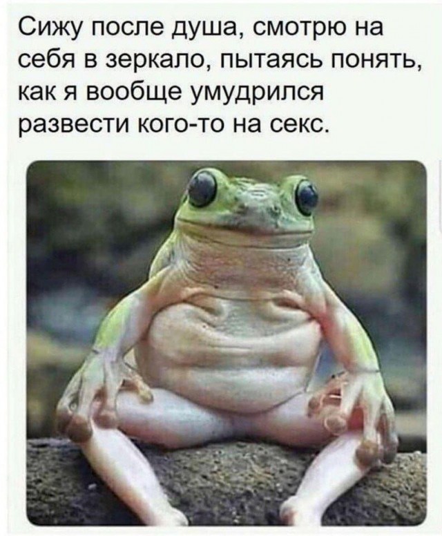 Женщины в вечном поиске - это диагноз