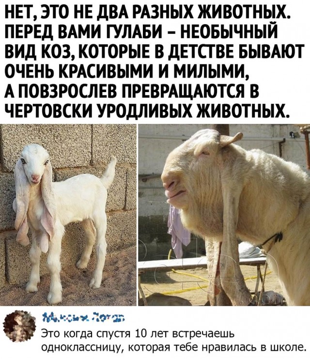 Чуток картинок 23.07.20