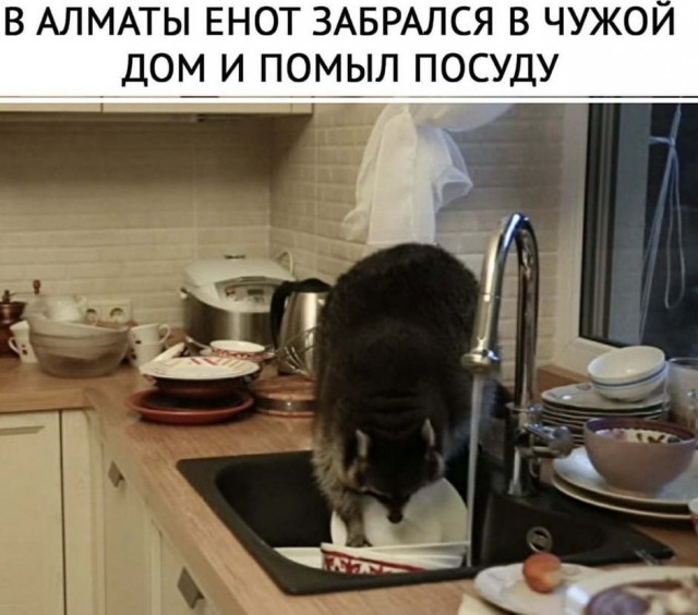 Бредзона 19.09.20