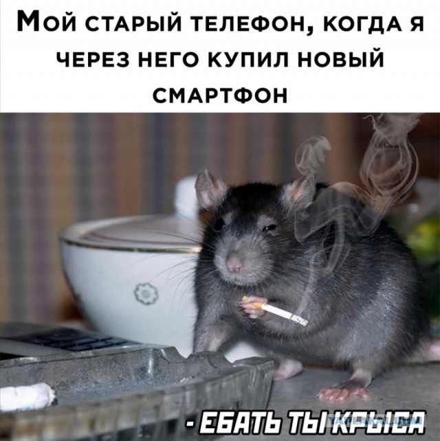 Юмор в картинках 25.10.20