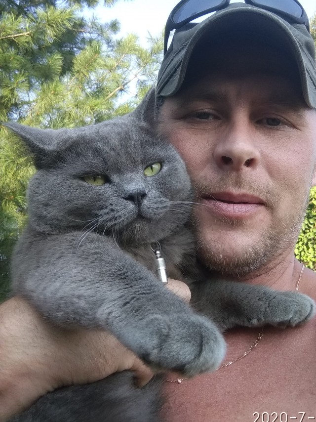 Кот