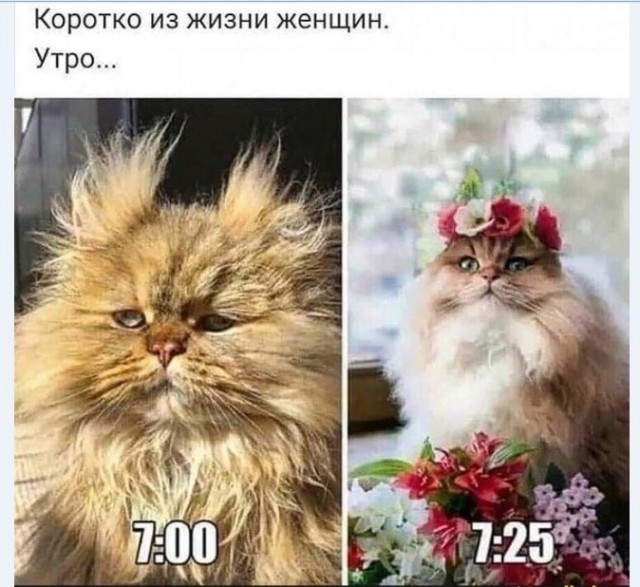 Картинки и мемы для настроения 030