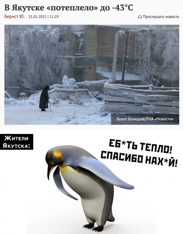 Картинки разные 26.01.2021