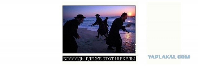 В Хабаровске началась акция в поддержку арестованного блогера Навального