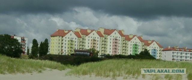 Зимний Янтарный