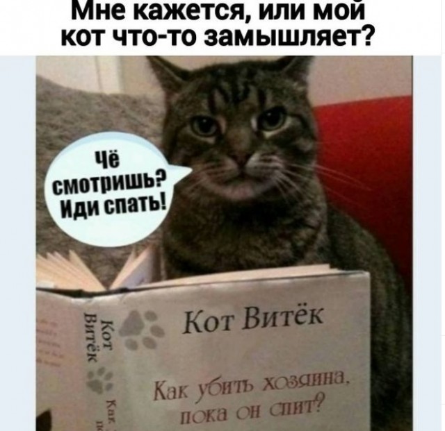 Картинки и мемы для настроения