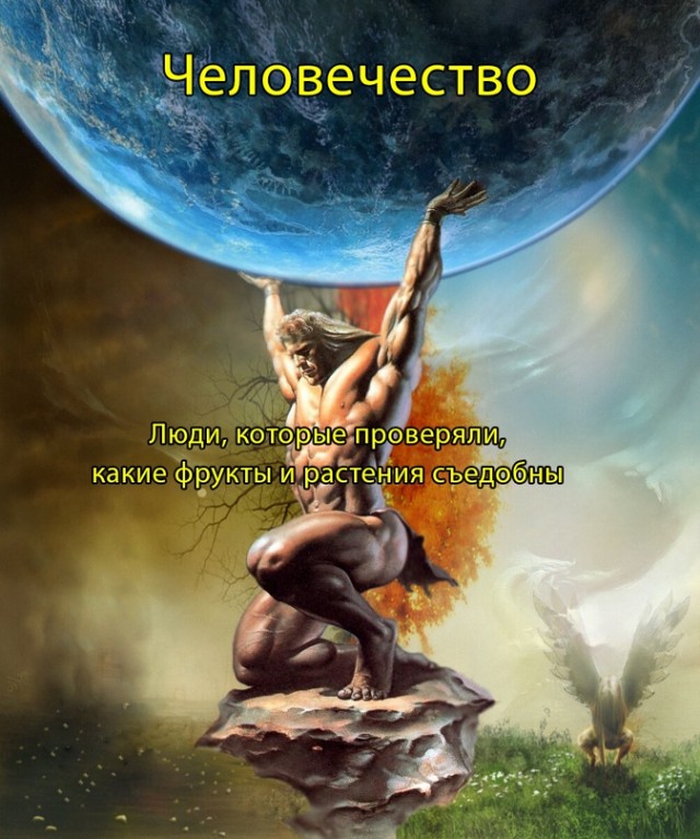 Весёлый полтишок 24.03