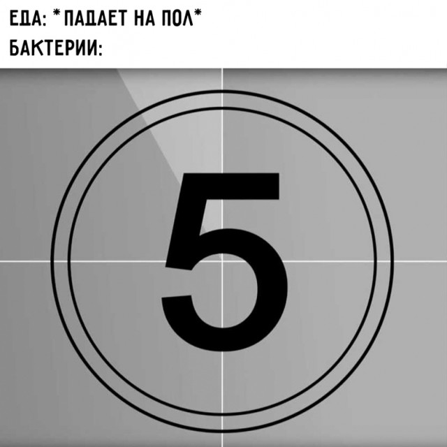 Весёлый полтишок 26.03