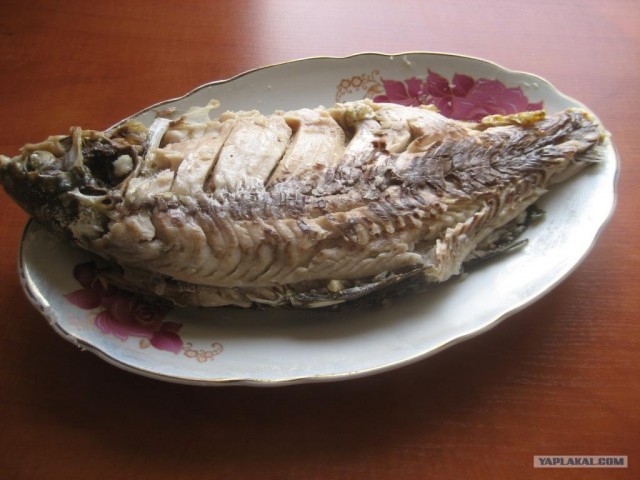 КАРП (Он же карпуша но - рыба)