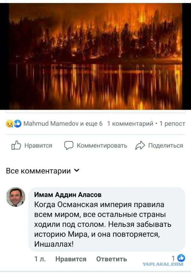 Исламский хайп: ярославским детям запретили есть свинину