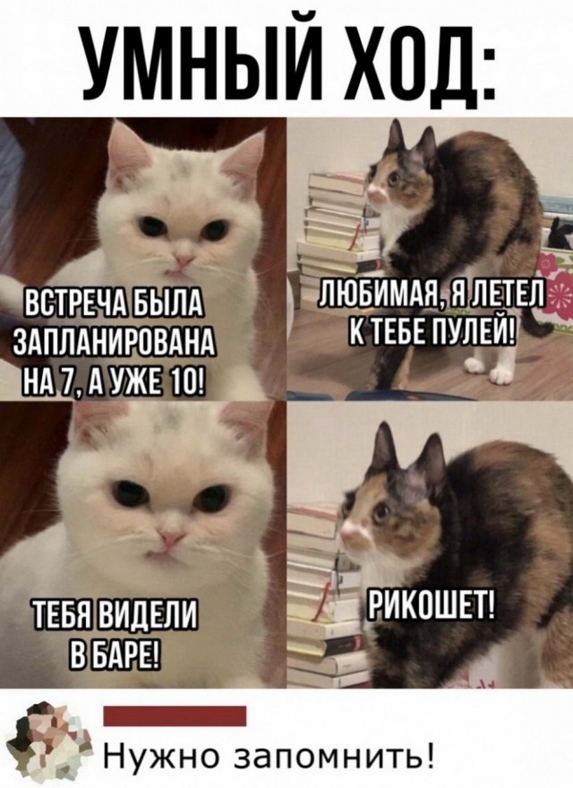 Картинки и мемы для настроения 12.08.2021