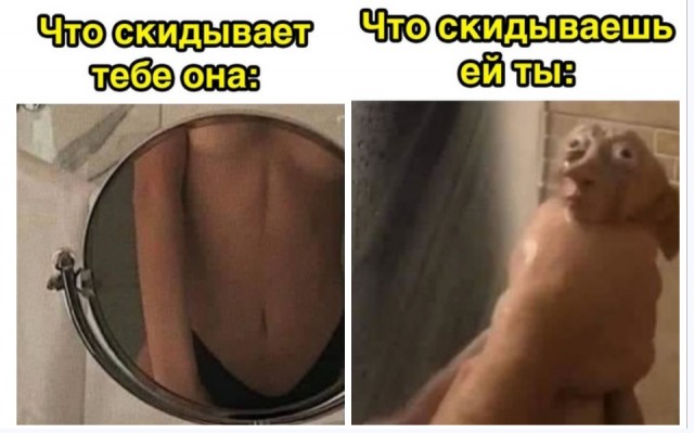 Воскресные Кретинизмы из сети 12.09.2021