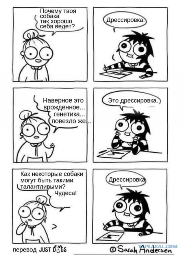 Собака-помогака