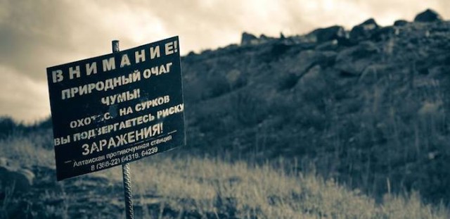 Мой Алтай