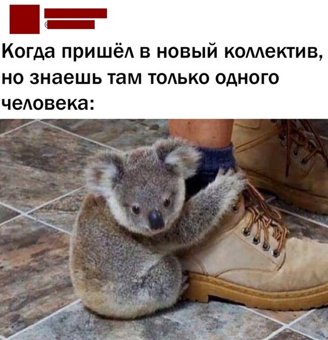 Так себе картинки 06.04.22
