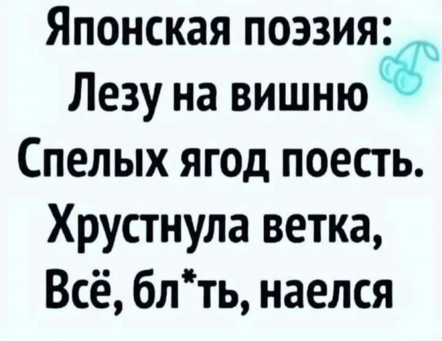 Весёлый полтишок 14.04.22