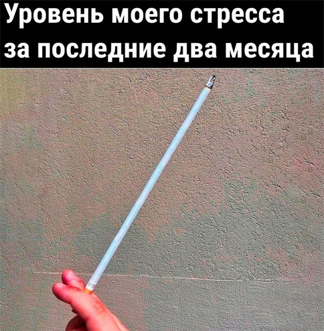 Так себе картинки 01.05.22