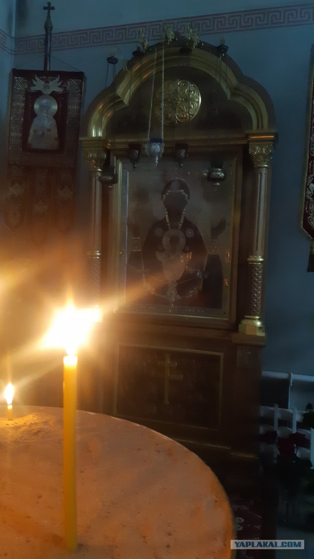 Коооочет!!!