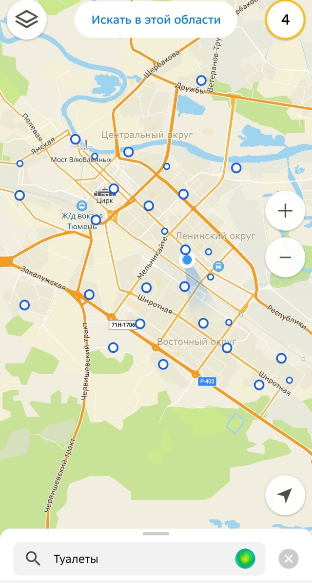 Свинья в метро