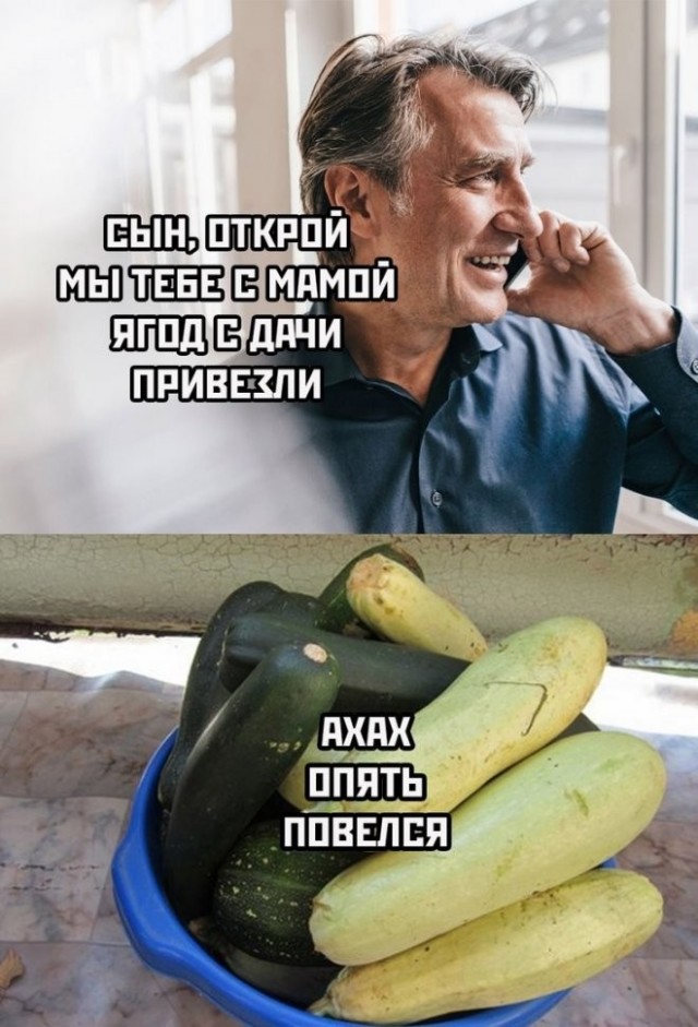 Просто картинки 26.08.22
