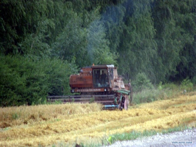 История одной поездки