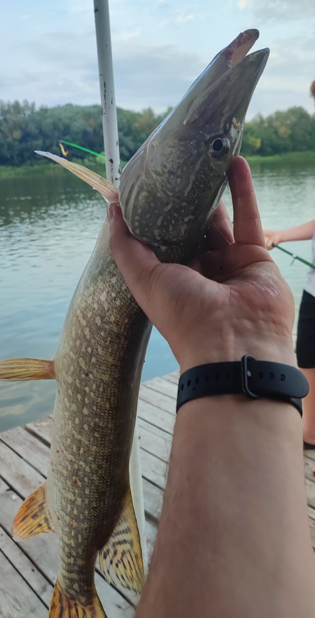 Рыбалка на леща