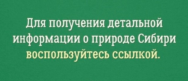 Так себе картинки 21.10.22
