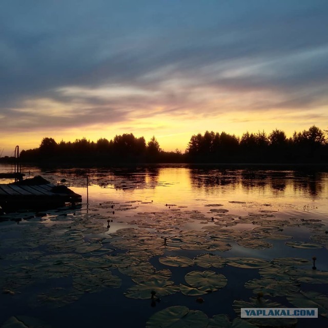Тайна воды