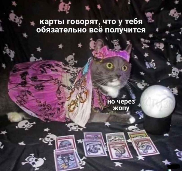 Весёлая проктология для деградантов
