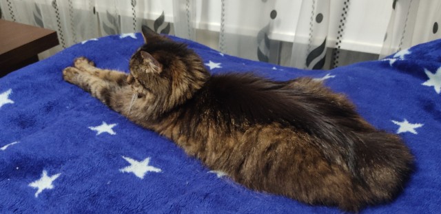 Добавьте и нас в тему, тагыдыктыгыдык!