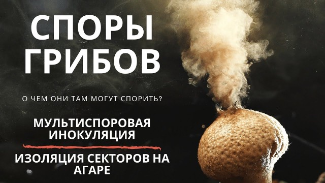Евгений Пригожин рассказал о текущей обстановке на фронте и планах ВСУ.