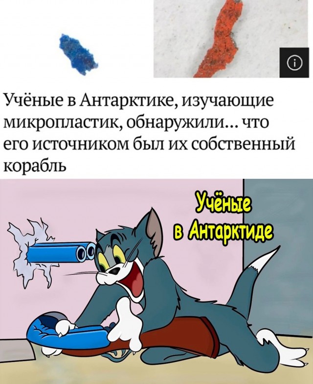 Нуштош 15.08.2023