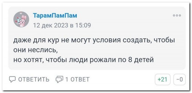 Забавные комментарии из социальных сетей (18.12.23)