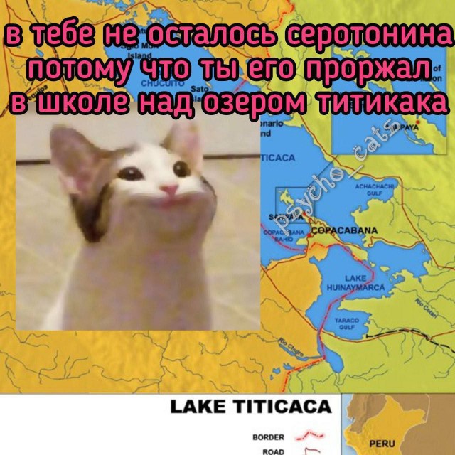 Никакие картинки