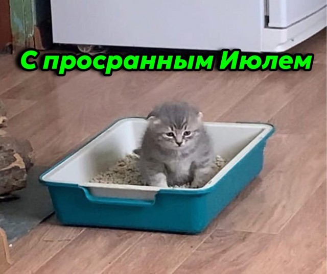 Всего понемногу. От 02.08.24
