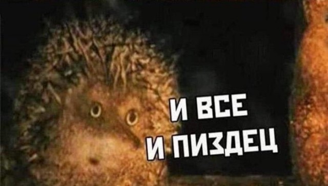 В ГД не исключили применения ЯО при разрешении Киеву бить вглубь России.