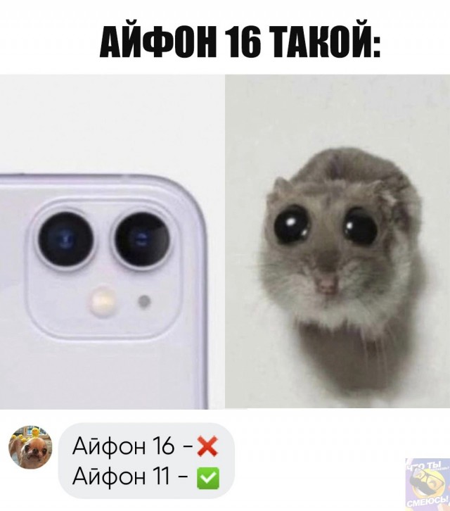 Нуштош 04.10.2024