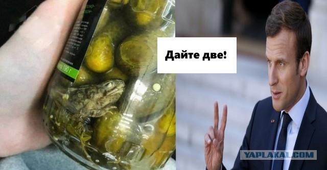 Ура! Дождались! Понедельник!