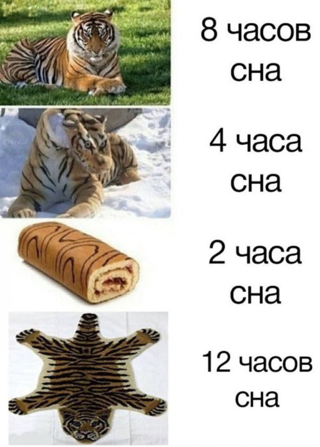 Всего понемногу. От 03.01.2025